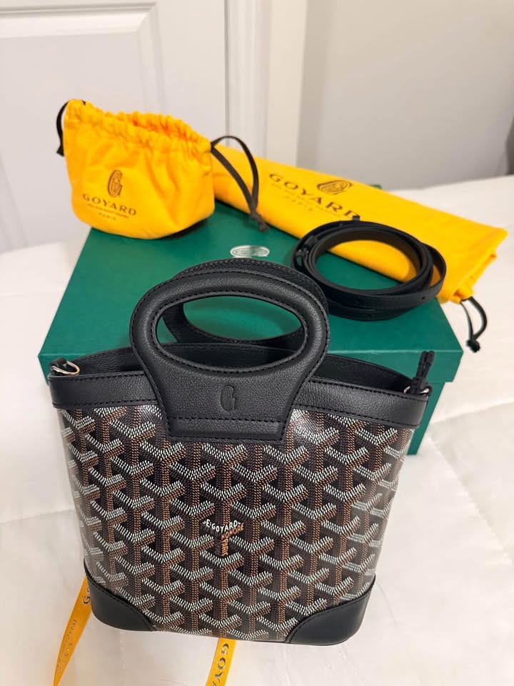 Goyard bag prize